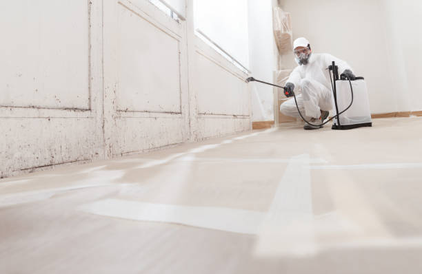 24/7 Emergency Bathroom Mold Removal experts in Islandia, NY